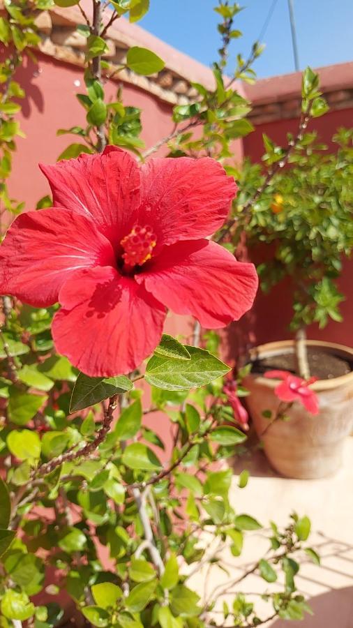Riad Dar Karam Marrakesz Zewnętrze zdjęcie