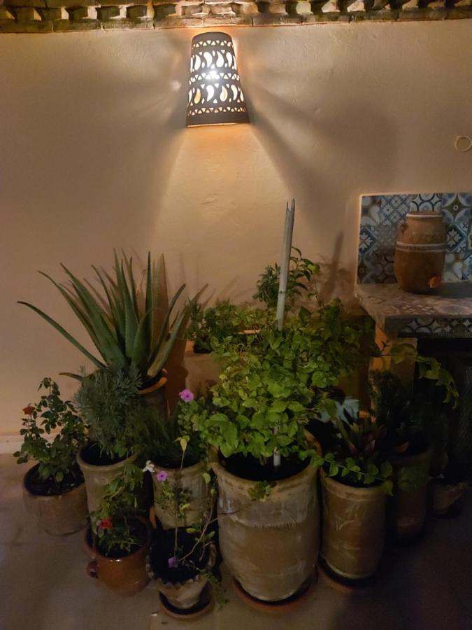 Riad Dar Karam Marrakesz Zewnętrze zdjęcie